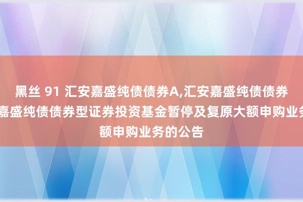 黑丝 91 汇安嘉盛纯债债券A，汇安嘉盛纯债债券C: 汇安嘉盛纯债债券型证券投资基金暂停及复原大额申购业务的公告