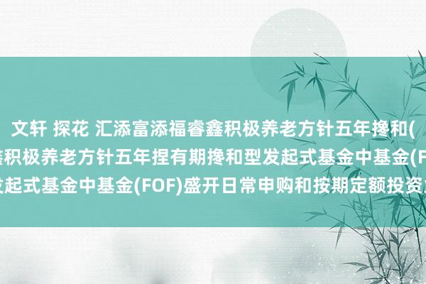 文轩 探花 汇添富添福睿鑫积极养老方针五年搀和(FOF): 汇添富添福睿鑫积极养老方针五年捏有期搀和型发起式基金中基金(FOF)盛开日常申购和按期定额投资业务公告