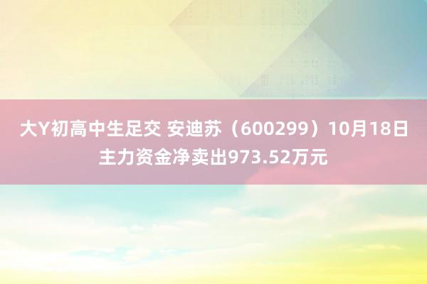 大Y初高中生足交 安迪苏（600299）10月18日主力资金净卖出973.52万元