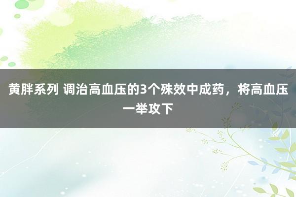 黄胖系列 调治高血压的3个殊效中成药，将高血压一举攻下