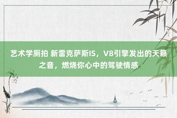 艺术学厕拍 新雷克萨斯IS，V8引擎发出的天籁之音，燃烧你心中的驾驶情感