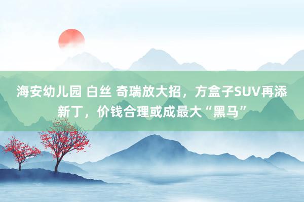 海安幼儿园 白丝 奇瑞放大招，方盒子SUV再添新丁，价钱合理或成最大“黑马”