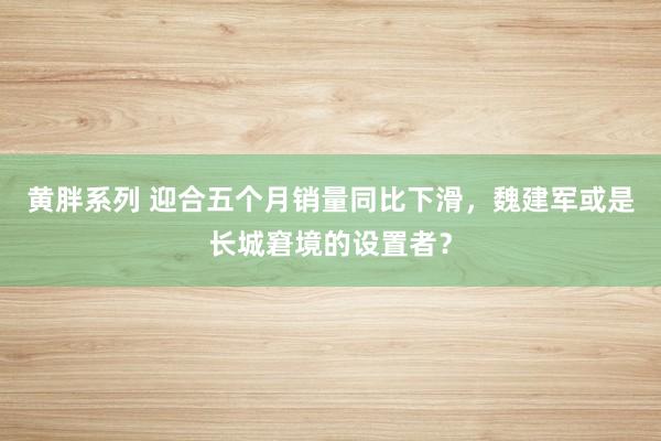 黄胖系列 迎合五个月销量同比下滑，魏建军或是长城窘境的设置者？