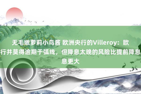 无毛嫩萝莉小鸟酱 欧洲央行的Villeroy：欧洲央行并莫得逾期于弧线，但降息太晚的风险比提前降息更大