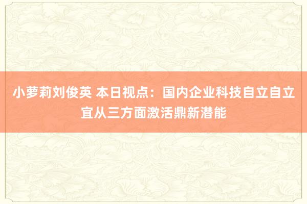 小萝莉刘俊英 本日视点：国内企业科技自立自立宜从三方面激活鼎新潜能