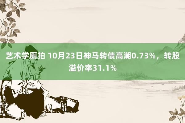 艺术学厕拍 10月23日神马转债高潮0.73%，转股溢价率31.1%