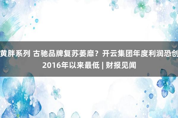 黄胖系列 古驰品牌复苏萎靡？开云集团年度利润恐创2016年以来最低 | 财报见闻