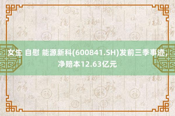 女生 自慰 能源新科(600841.SH)发前三季事迹，净赔本12.63亿元