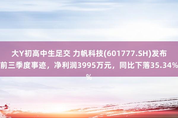 大Y初高中生足交 力帆科技(601777.SH)发布前三季度事迹，净利润3995万元，同比下落35.34%