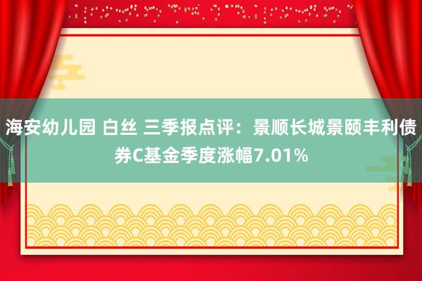 海安幼儿园 白丝 三季报点评：景顺长城景颐丰利债券C基金季度涨幅7.01%