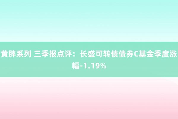 黄胖系列 三季报点评：长盛可转债债券C基金季度涨幅-1.19%