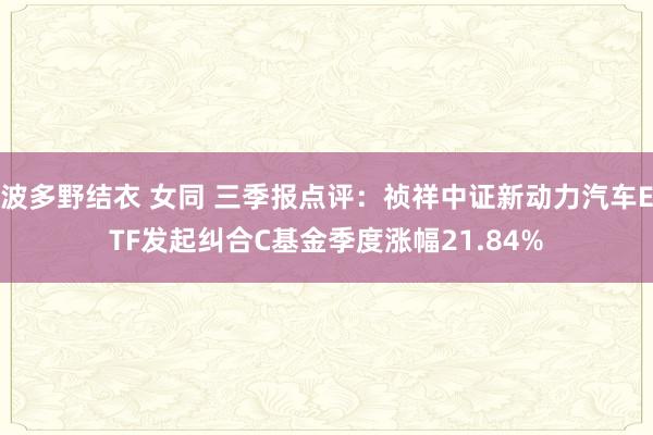 波多野结衣 女同 三季报点评：祯祥中证新动力汽车ETF发起纠合C基金季度涨幅21.84%