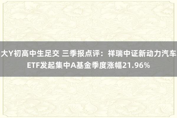 大Y初高中生足交 三季报点评：祥瑞中证新动力汽车ETF发起集中A基金季度涨幅21.96%