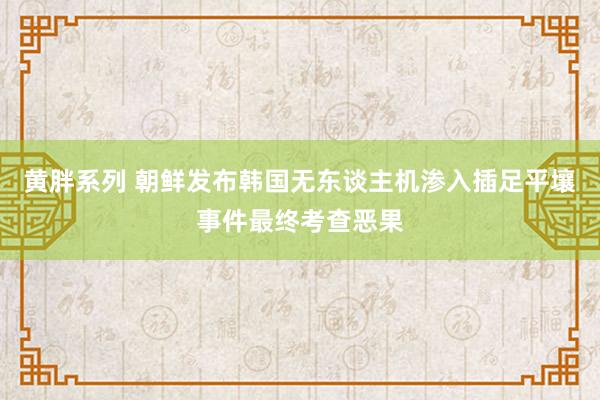 黄胖系列 朝鲜发布韩国无东谈主机渗入插足平壤事件最终考查恶果