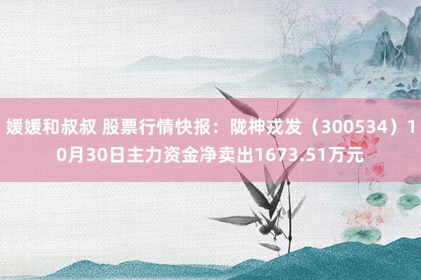 媛媛和叔叔 股票行情快报：陇神戎发（300534）10月30日主力资金净卖出1673.51万元