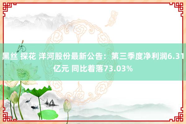 黑丝 探花 洋河股份最新公告：第三季度净利润6.31亿元 同比着落73.03%