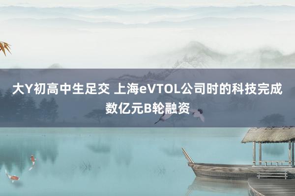 大Y初高中生足交 上海eVTOL公司时的科技完成数亿元B轮融资