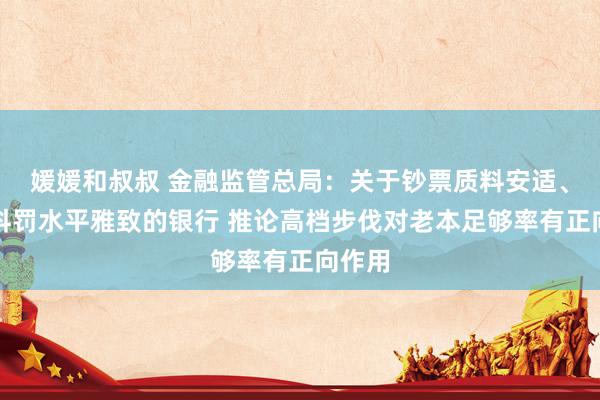 媛媛和叔叔 金融监管总局：关于钞票质料安适、风险科罚水平雅致的银行 推论高档步伐对老本足够率有正向作用