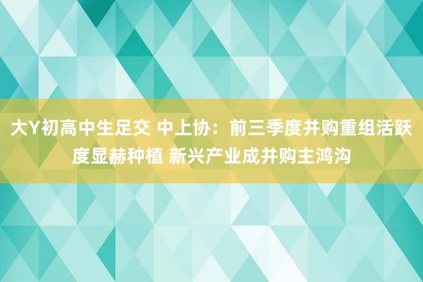 大Y初高中生足交 中上协：前三季度并购重组活跃度显赫种植 新兴产业成并购主鸿沟