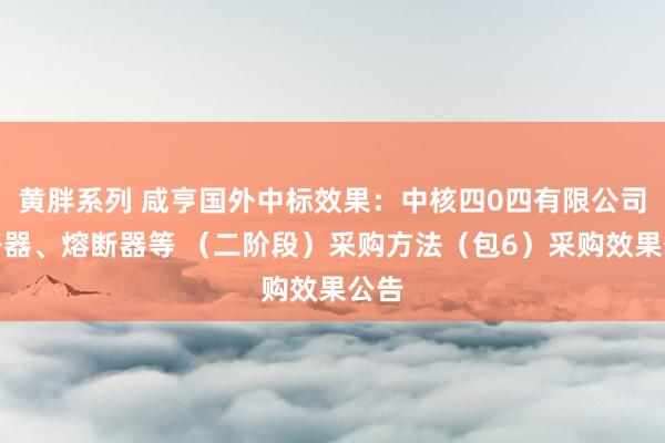 黄胖系列 咸亨国外中标效果：中核四0四有限公司断路器、熔断器等 （二阶段）采购方法（包6）采购效果公告