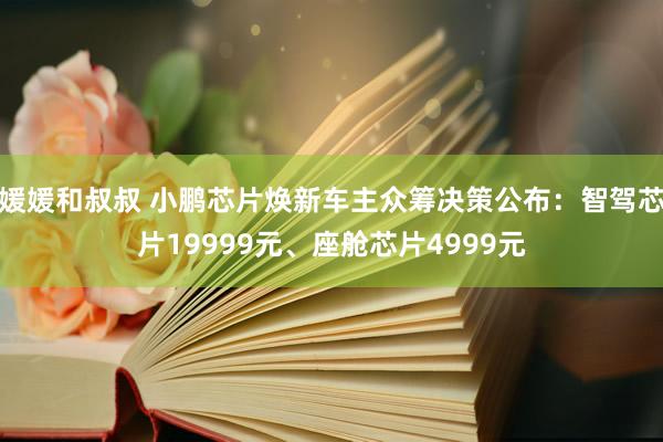 媛媛和叔叔 小鹏芯片焕新车主众筹决策公布：智驾芯片19999元、座舱芯片4999元