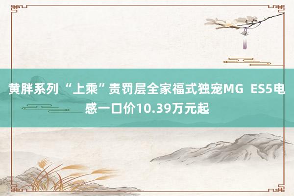 黄胖系列 “上乘”责罚层全家福式独宠MG  ES5电感一口价10.39万元起