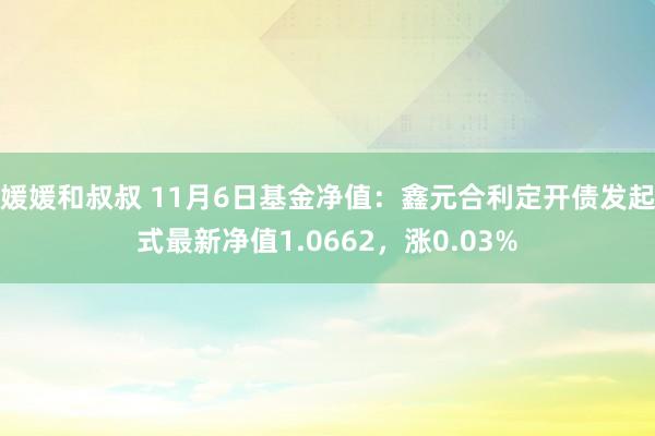 媛媛和叔叔 11月6日基金净值：鑫元合利定开债发起式最新净值1.0662，涨0.03%