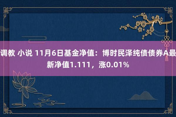 调教 小说 11月6日基金净值：博时民泽纯债债券A最新净值1.111，涨0.01%