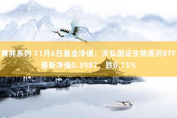 黄胖系列 11月6日基金净值：天弘国证生物医药ETF最新净值0.3987，跌0.13%