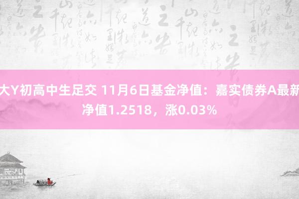 大Y初高中生足交 11月6日基金净值：嘉实债券A最新净值1.2518，涨0.03%