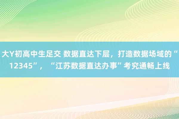 大Y初高中生足交 数据直达下层，打造数据场域的“12345”， “江苏数据直达办事”考究通畅上线