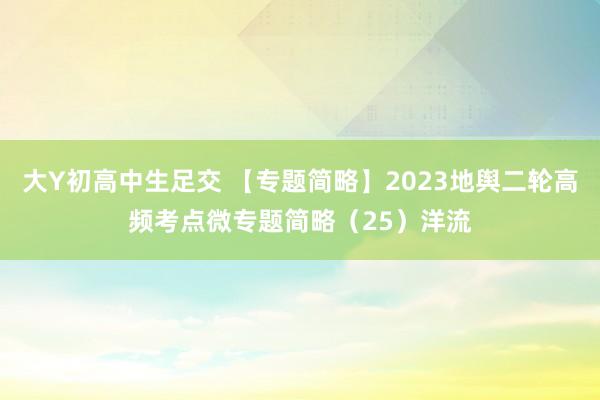 大Y初高中生足交 【专题简略】2023地舆二轮高频考点微专题简略（25）洋流