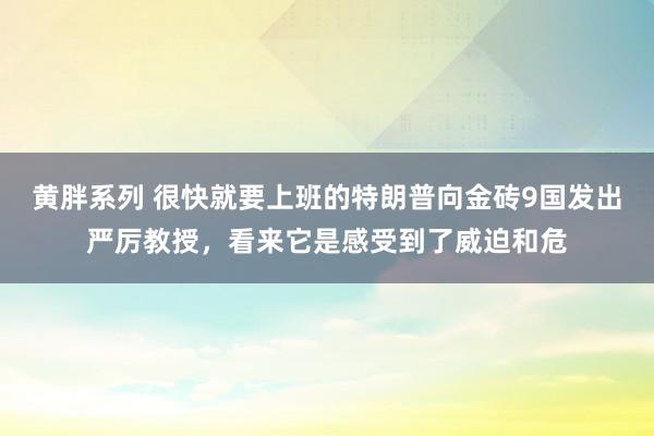 黄胖系列 很快就要上班的特朗普向金砖9国发出严厉教授，看来它是感受到了威迫和危