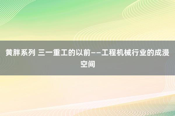 黄胖系列 三一重工的以前——工程机械行业的成漫空间