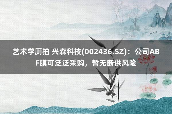 艺术学厕拍 兴森科技(002436.SZ)：公司ABF膜可泛泛采购，暂无断供风险