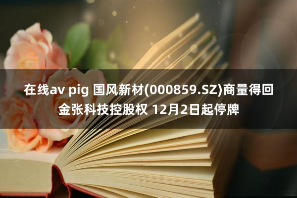 在线av pig 国风新材(000859.SZ)商量得回金张科技控股权 12月2日起停牌