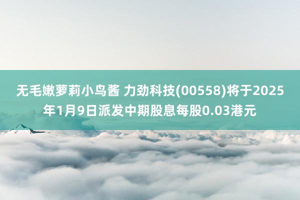 无毛嫩萝莉小鸟酱 力劲科技(00558)将于2025年1月9日派发中期股息每股0.03港元