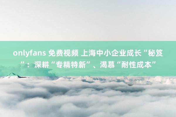 onlyfans 免费视频 上海中小企业成长“秘笈”：深耕“专精特新”、渴慕“耐性成本”