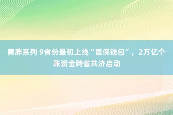 黄胖系列 9省份最初上线“医保钱包”，2万亿个账资金跨省共济启动