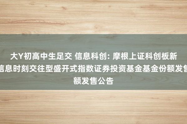 大Y初高中生足交 信息科创: 摩根上证科创板新一代信息时刻交往型盛开式指数证券投资基金基金份额发售公告