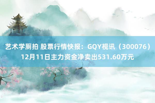 艺术学厕拍 股票行情快报：GQY视讯（300076）12月11日主力资金净卖出531.60万元