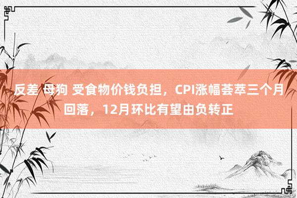 反差 母狗 受食物价钱负担，CPI涨幅荟萃三个月回落，12月环比有望由负转正