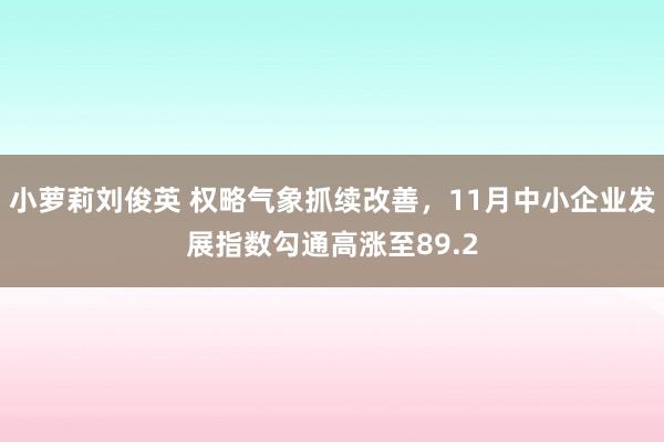 小萝莉刘俊英 权略气象抓续改善，11月中小企业发展指数勾通高涨至89.2