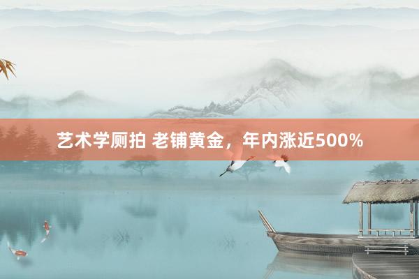 艺术学厕拍 老铺黄金，年内涨近500%