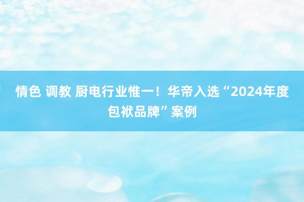 情色 调教 厨电行业惟一！华帝入选“2024年度包袱品牌”案例