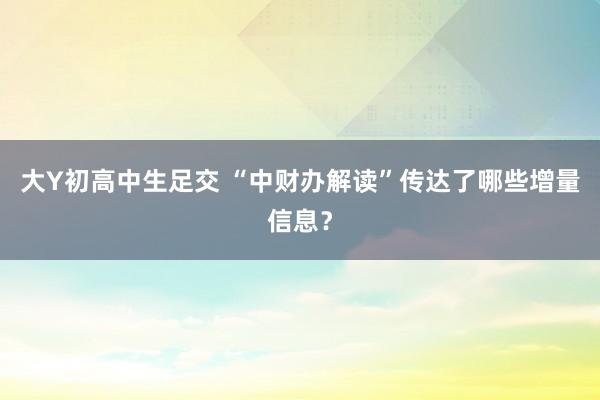 大Y初高中生足交 “中财办解读”传达了哪些增量信息？