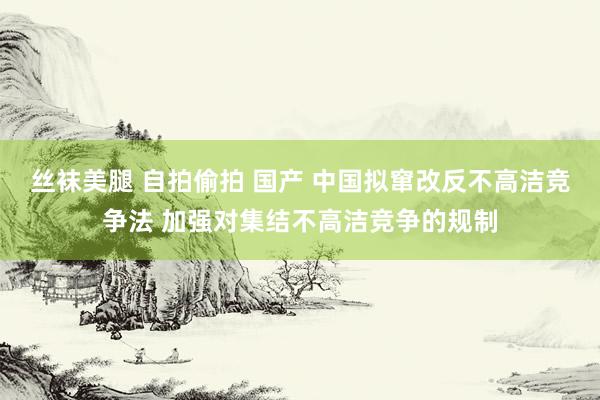 丝袜美腿 自拍偷拍 国产 中国拟窜改反不高洁竞争法 加强对集结不高洁竞争的规制