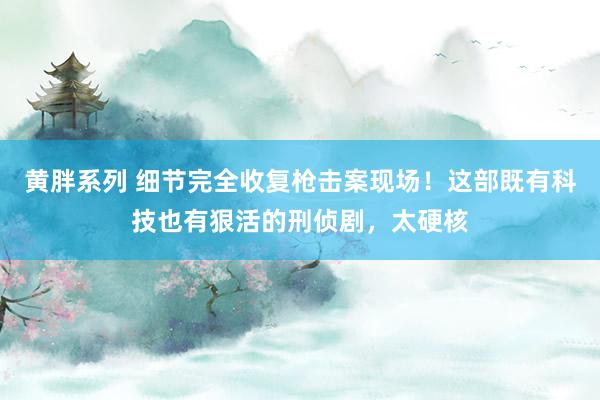 黄胖系列 细节完全收复枪击案现场！这部既有科技也有狠活的刑侦剧，太硬核