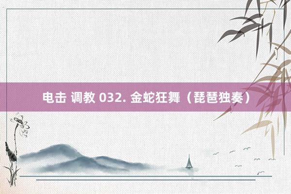 电击 调教 032. 金蛇狂舞（琵琶独奏）