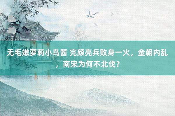 无毛嫩萝莉小鸟酱 完颜亮兵败身一火，金朝内乱，南宋为何不北伐？